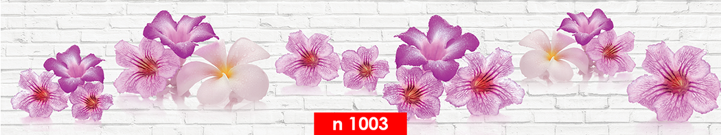 n 1003